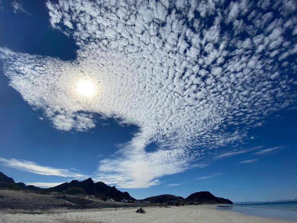Amazing Condo Sea Front Top Location In La Paz - Salty Water Pool And Jacuzzis 外观 照片